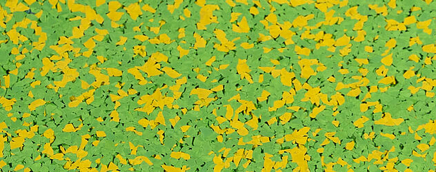 35% light yellow/65% light green